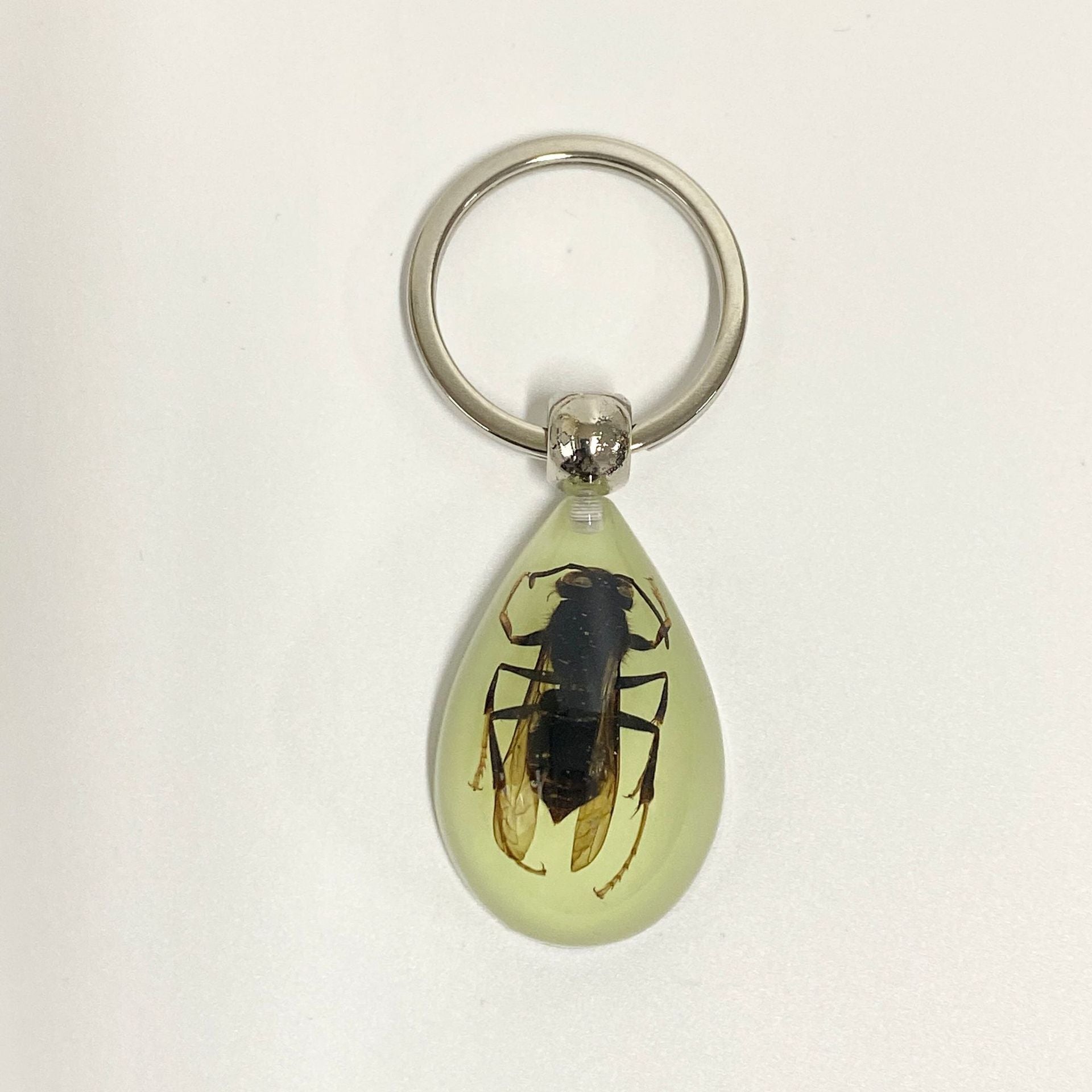 Wholesale 6pcs Luminous Insects Epoxy Resin Keychain