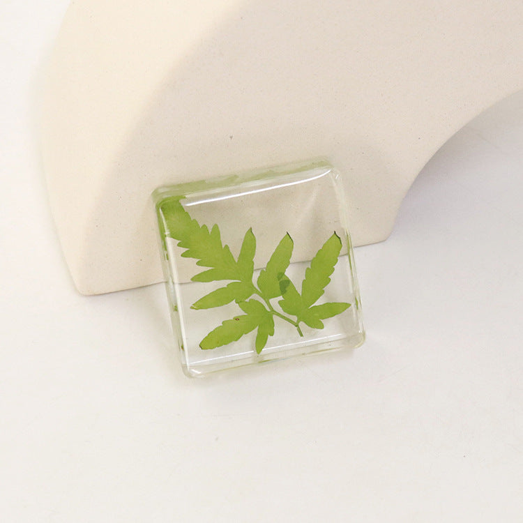 Wholesale 6pcs Fern Leaf Metasequoia Green Plant Specimen Ornaments