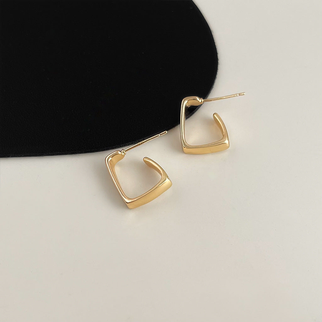 Wholesale Retro geometric metallic irregular earrings