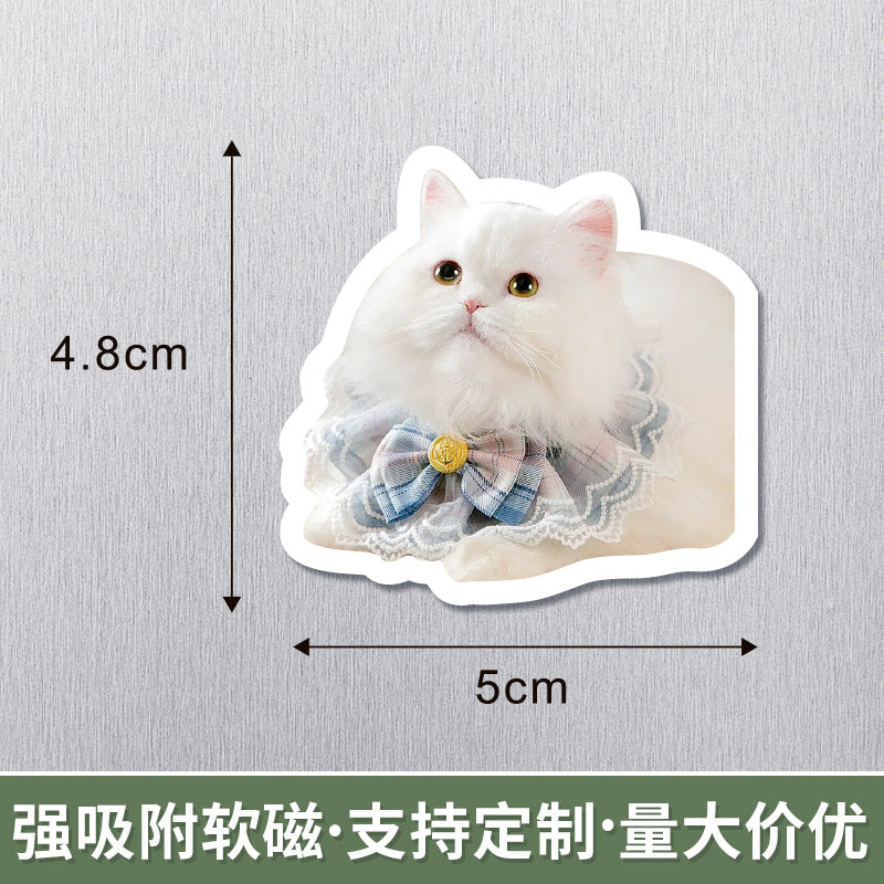 Wholesale 50pcs Magnetic refrigerator magnets cute pet magnetic stickers special-shaped decoration