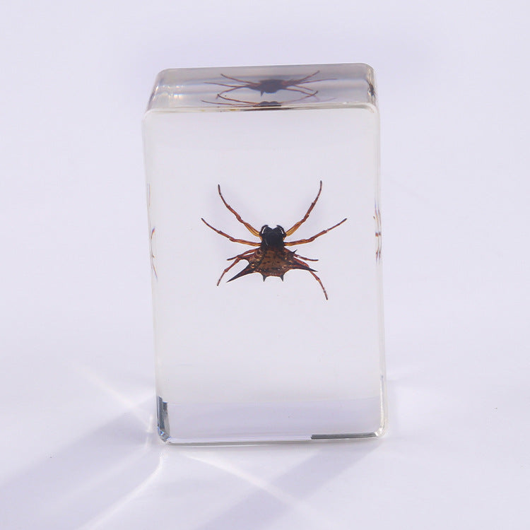 Wholesale 6pcs Handmade Glue Resin Insect Transparent Specimen Ornaments