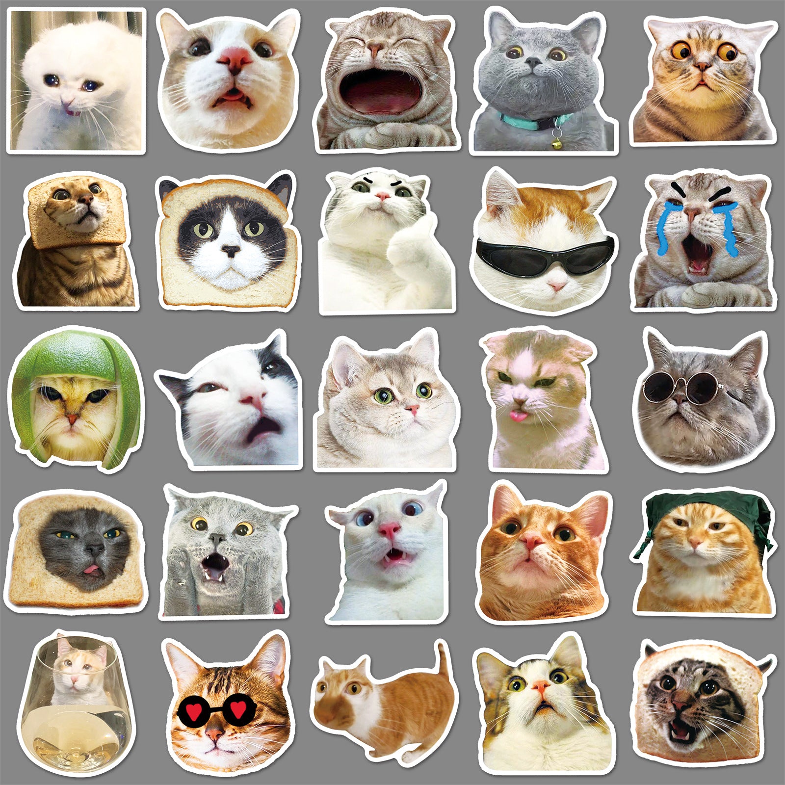 Wholesale 50pcs cat expression bag graffiti personality  sticker