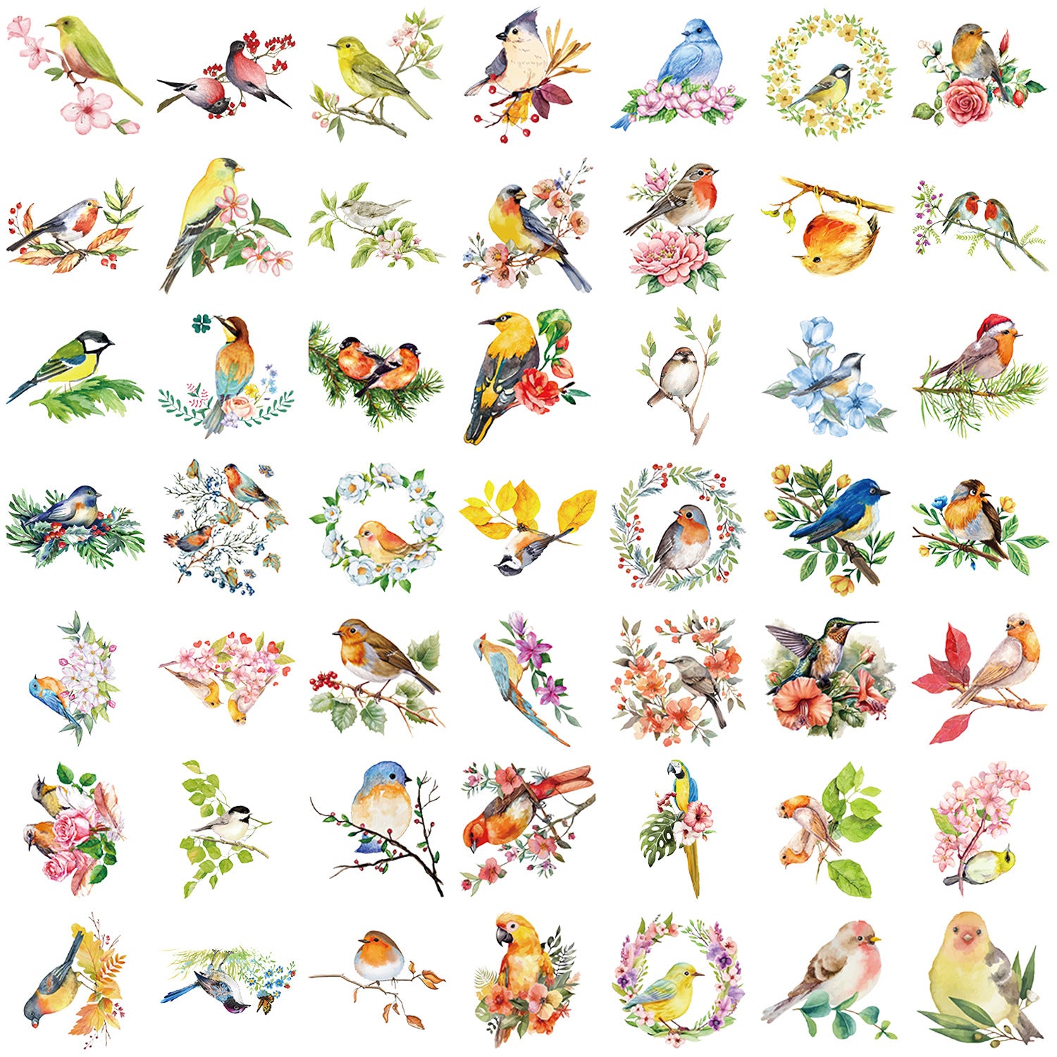 Wholesale 50pcs/pack transparent watercolor bird sticker bag waterproof transparent PET hand account material decorative guitar notebook batch