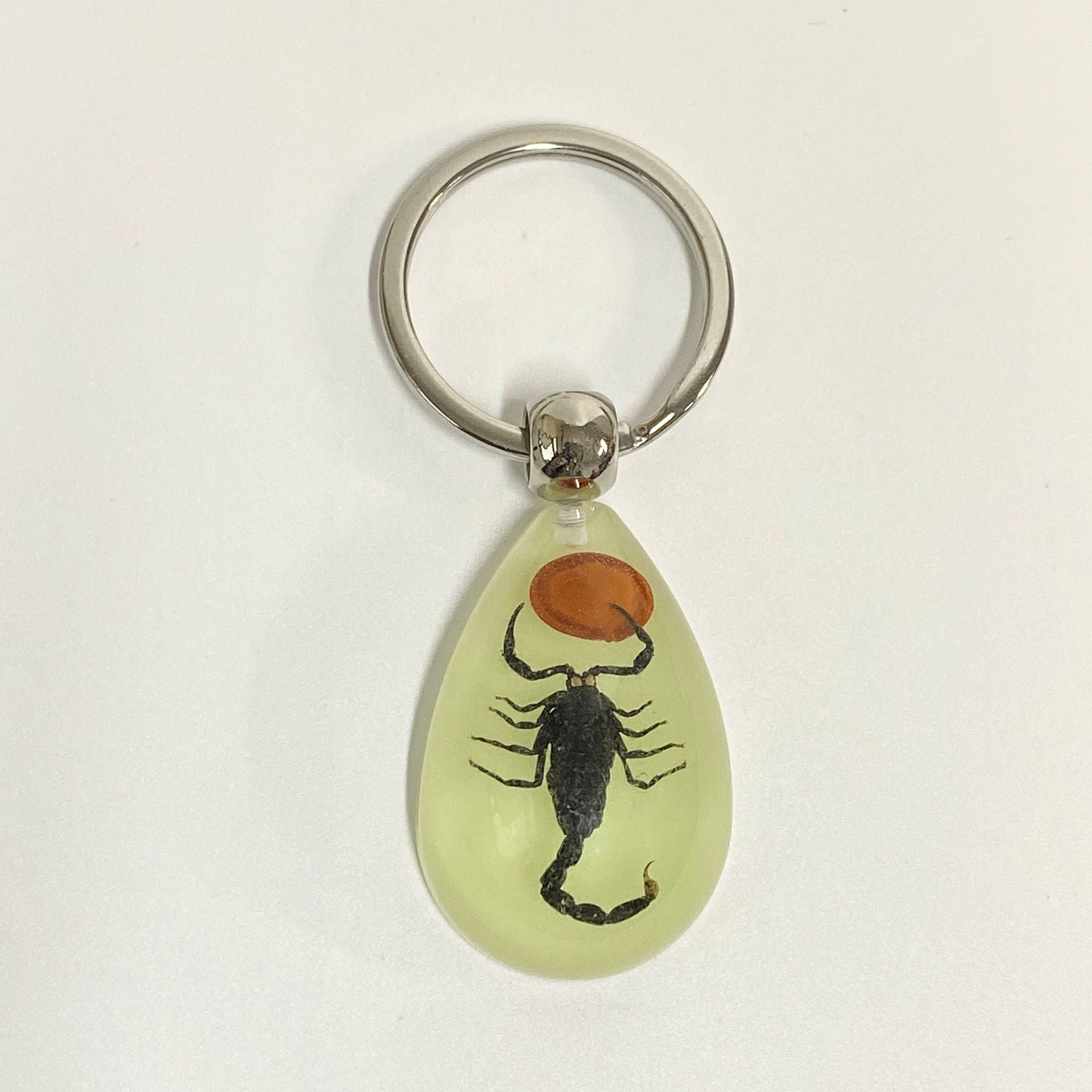 Wholesale Large Amber Glow-in-the-Dark Insect animal specimen Keychain