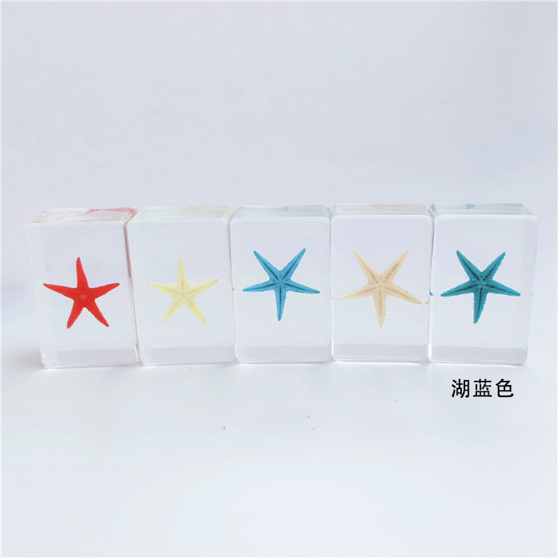 Wholesale 12pcs Epoxy Starfish Specimen Hot Sale Resin Crafts Ornaments