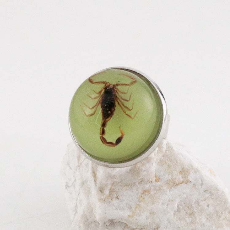 Wholesale 12pcs Luminous Fashion Real Insect Scorpion Resin Rings