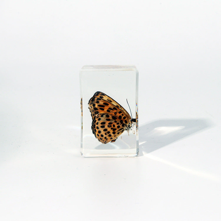 Wholesale Handmade Dripping Resin Insect Transparent Animal Specimen Ornaments