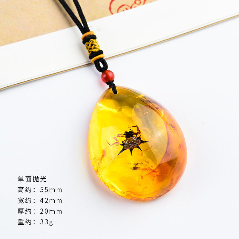 Wholesale True Live Insect Specimen Amber Pendant