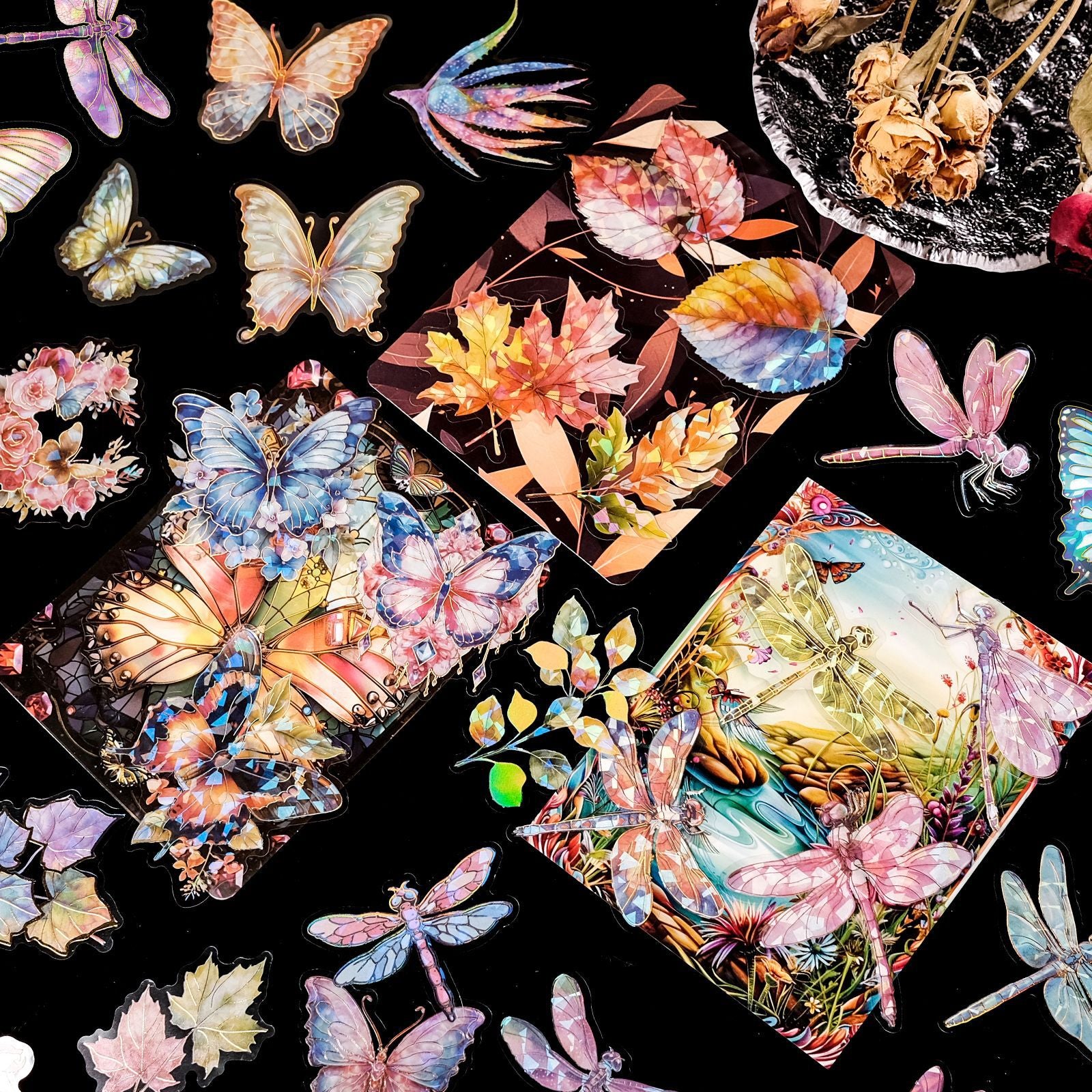 OlyVogue