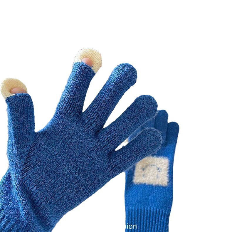 Wholesale Autumn and Winter Outdoor Cycling Cold and Warm Touch Screen Knitted Gloves