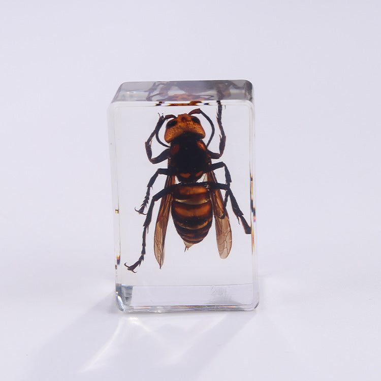 Wholesale 6pcs Handmade Glue Resin Insect Transparent Specimen Ornaments
