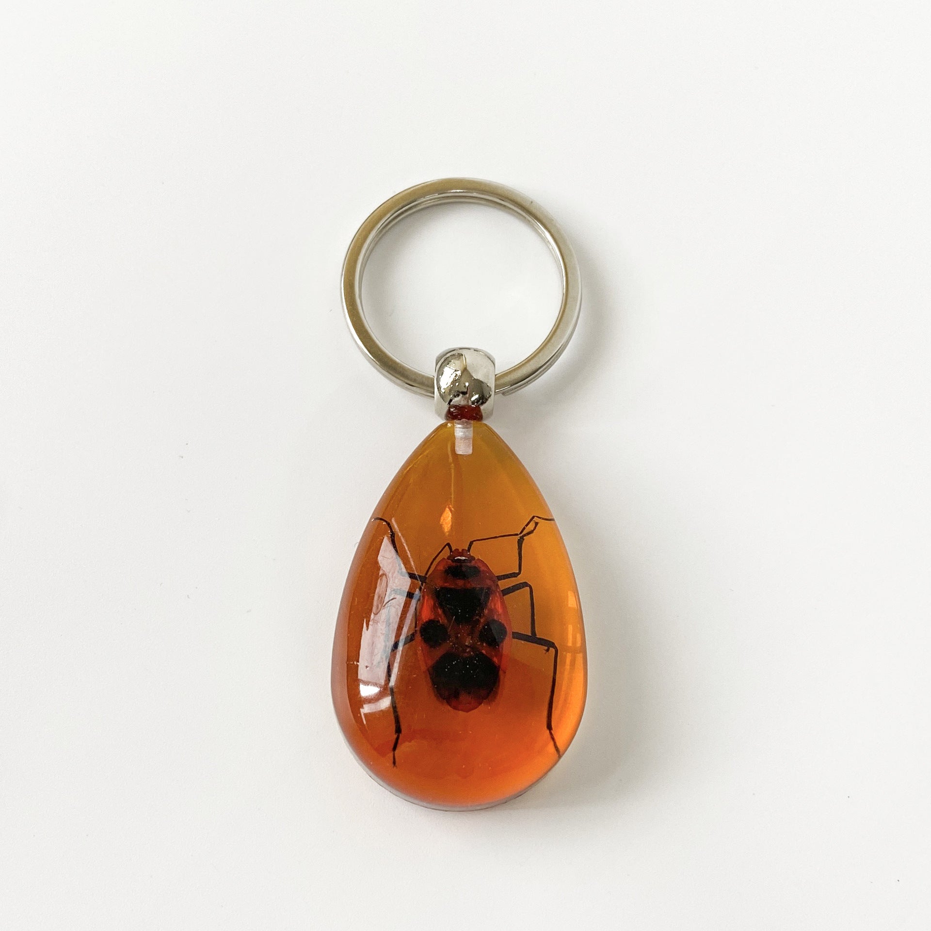 Wholesale 6pcs/pack Insect Specimen Amber Keychain