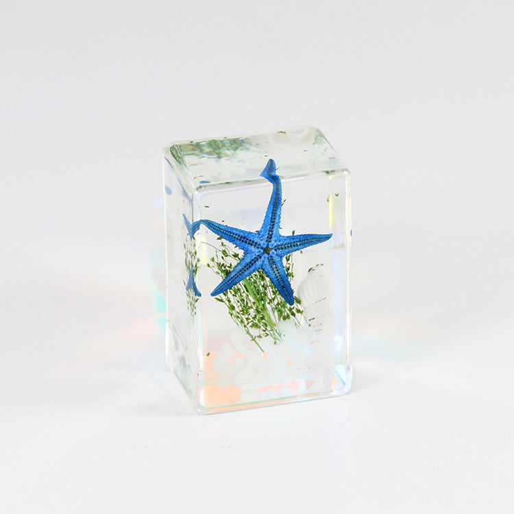 Wholesale 6pcs Starfish Specimen Resin Transparent Handmade Glue Ornaments