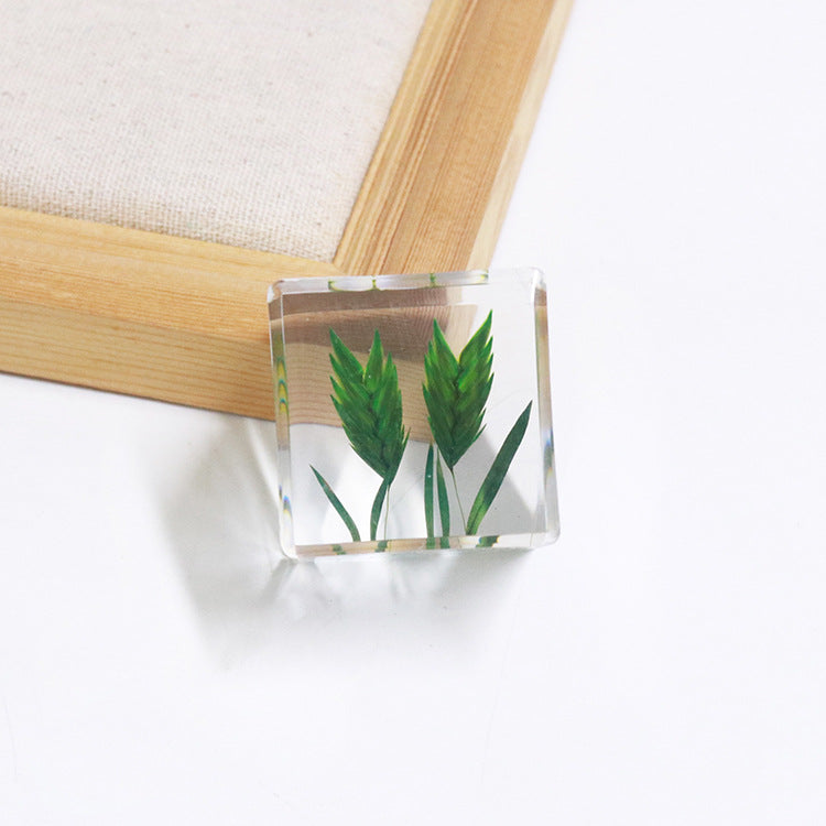 Wholesale 6pcs Cube Real Dried Flower Desktop Crafts Ornaments