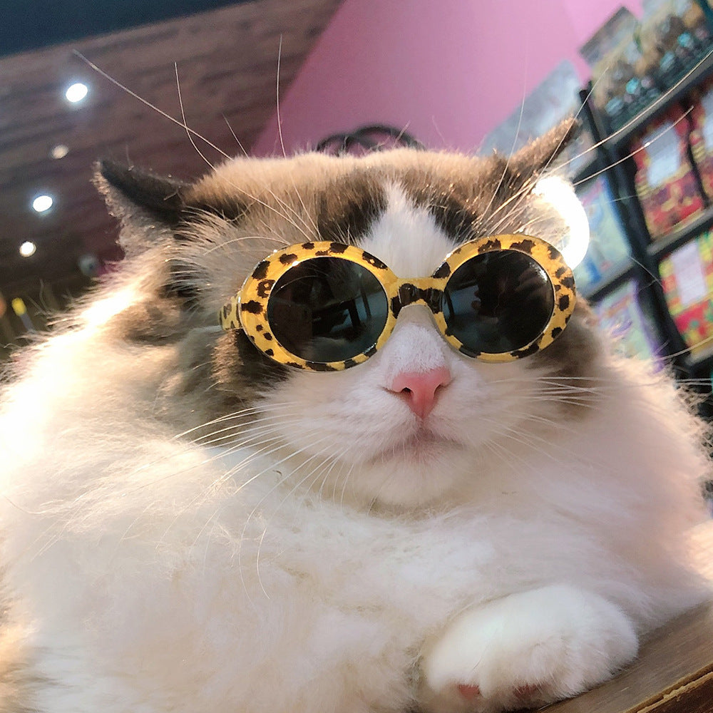 Wholesale Pet PC Sunglasses