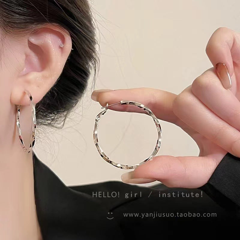 Wholesale Geometric oval high-end cool style earrings
