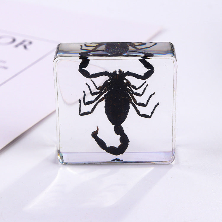 Wholesale 6pcs Square Resin Insect Animal Specimen Amber Craft Ornaments