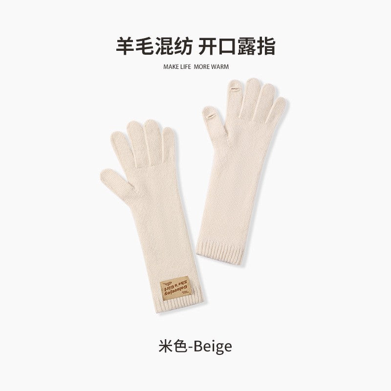 Wholesale Winter Warm Wool Touch Screen Knitted Thickened Gloves