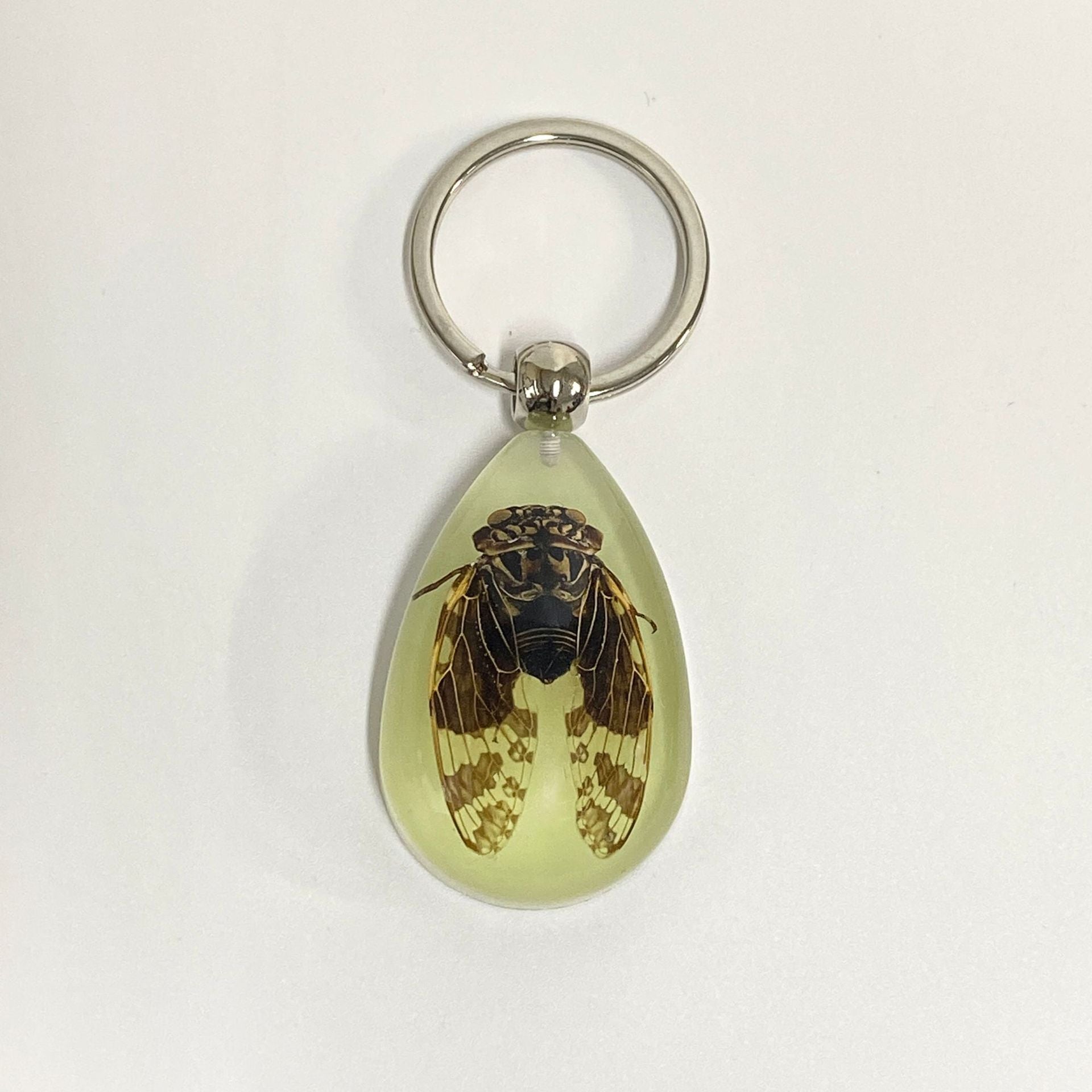 Wholesale Large Amber Glow-in-the-Dark Insect animal specimen Keychain