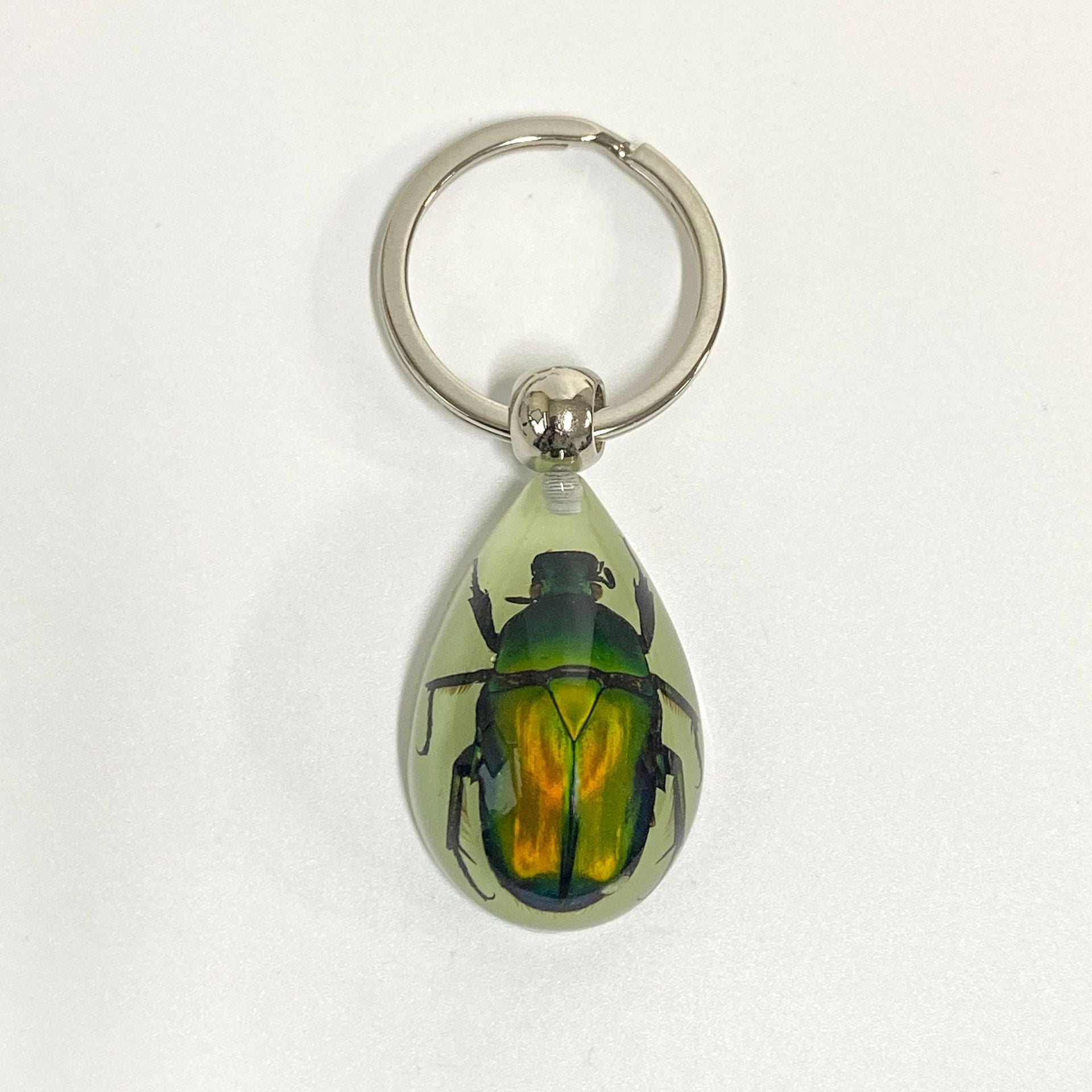 Wholesale 6pcs Luminous Insects Epoxy Resin Keychain
