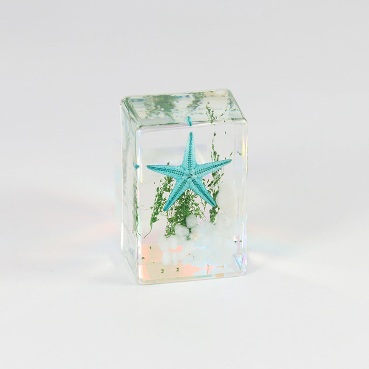 Wholesale 6pcs Starfish Specimen Resin Transparent Handmade Glue Ornaments