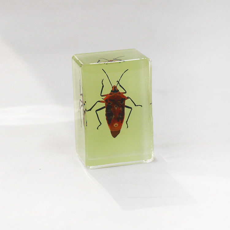 Wholesale 12pcs Luminous Real Insect Scorpion Desktop Resin Ornaments