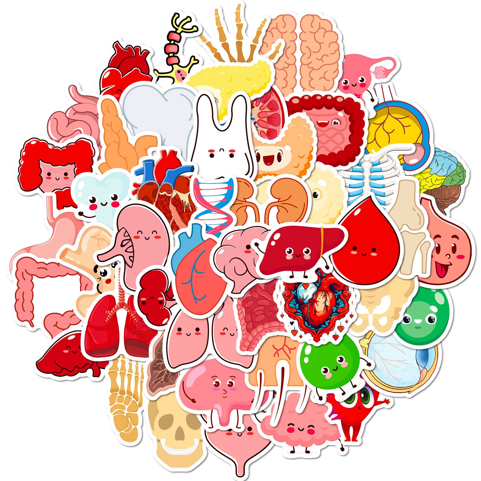 Wholesale 50pcs Cute human organ stickers anatomy cartoon human organ children's early education stickers