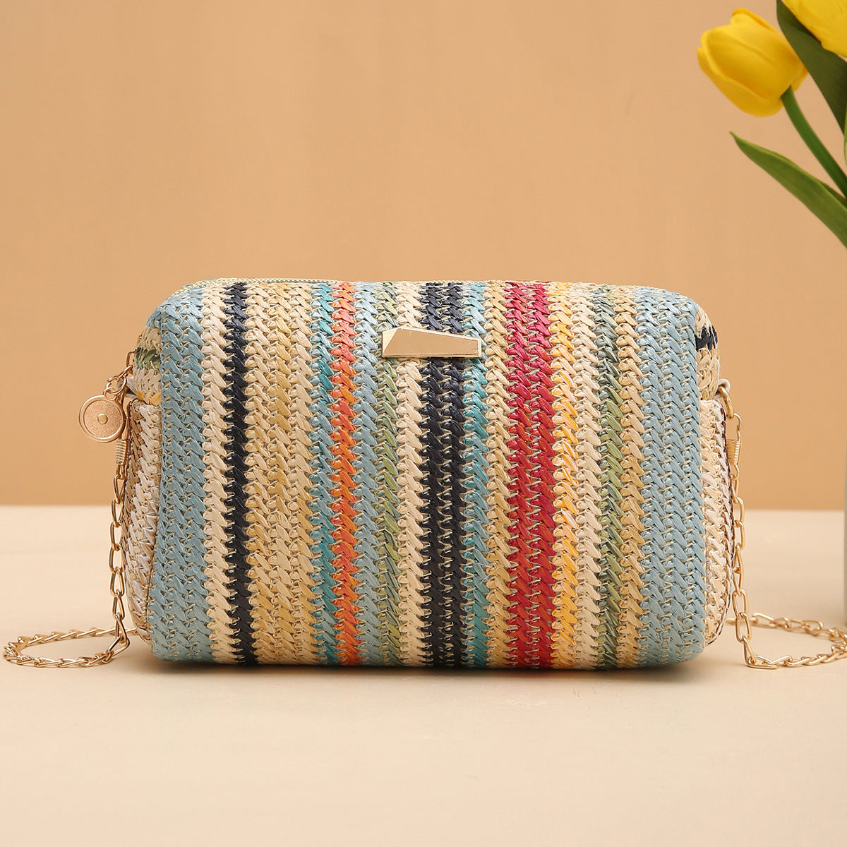 Wholesale Rainbow Straw Woven Camera Bag Crossbody Chain Bag