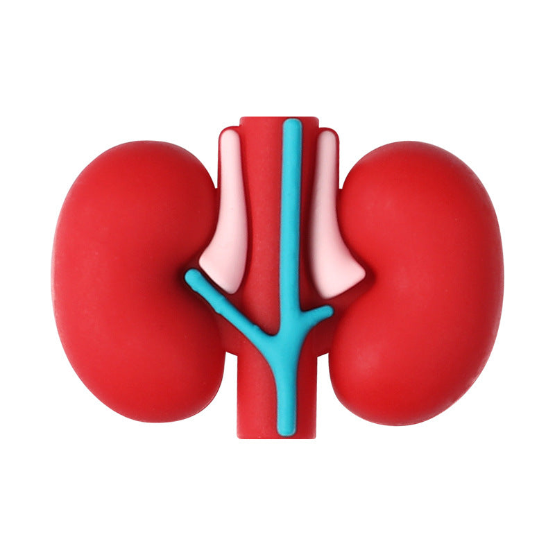 Wholesale 20pcs/pack medical 3D organ silicone beads human body structure beads DIY