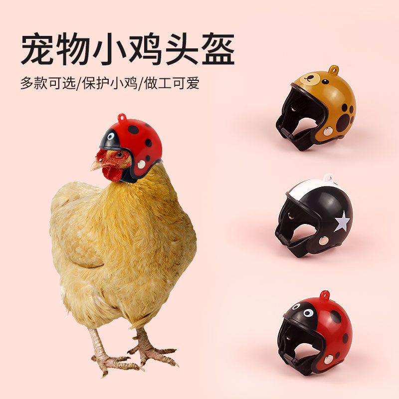 Wholesale creative new funny protective chicken helmet hen hat bird hat head cover pet supplies