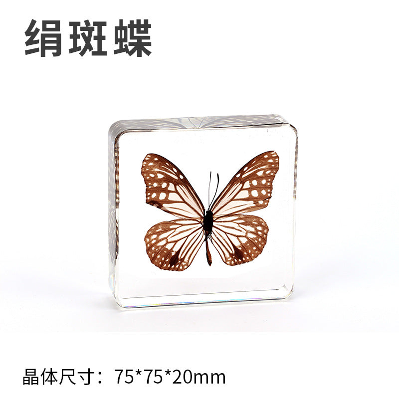 Wholesale Epoxy Butterfly Spreading Wings Resin Specimen