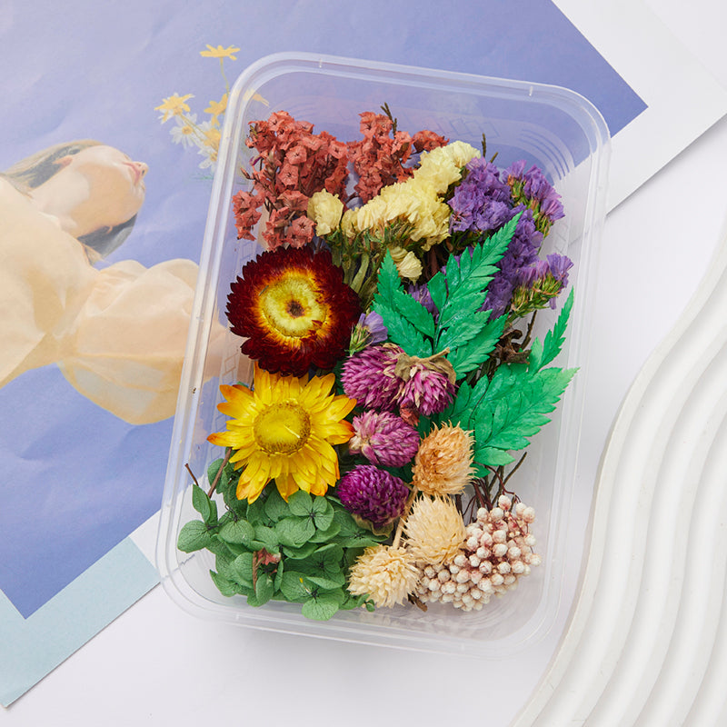 Wholesale DIY Handmade Mixed Dried Flowers Boxed Material Package Real Flowers Natural Air-dried Decorative Ornaments Dripping Glue Flower Material