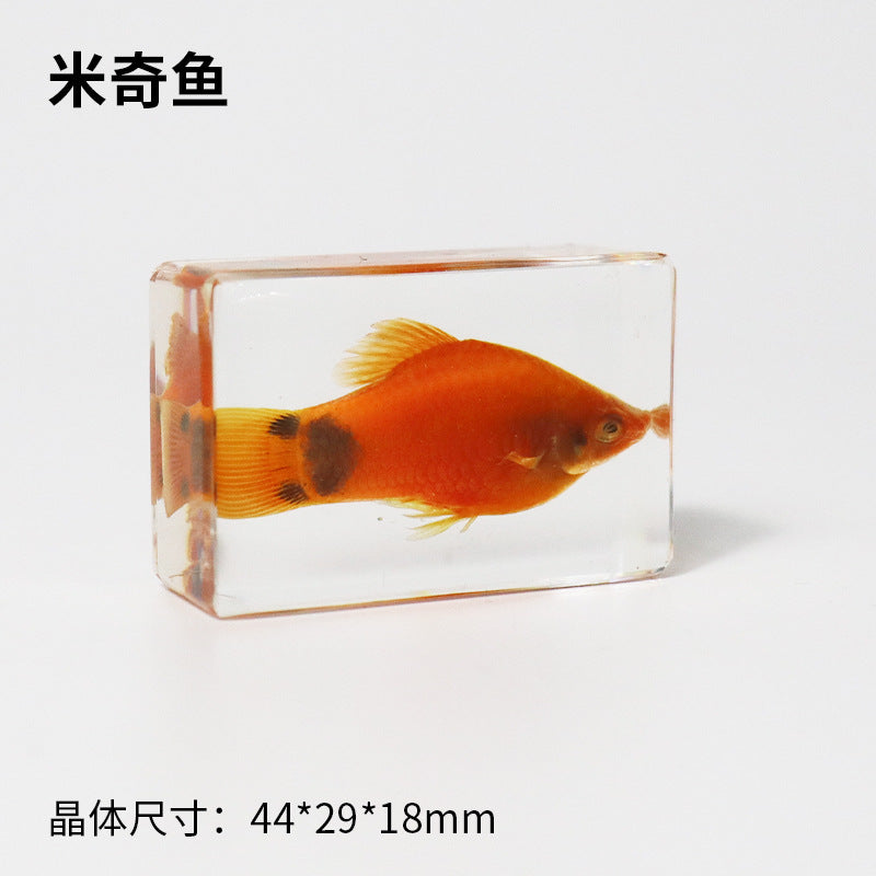 Wholesale Real Marine Fish Resin Specimen Ornaments