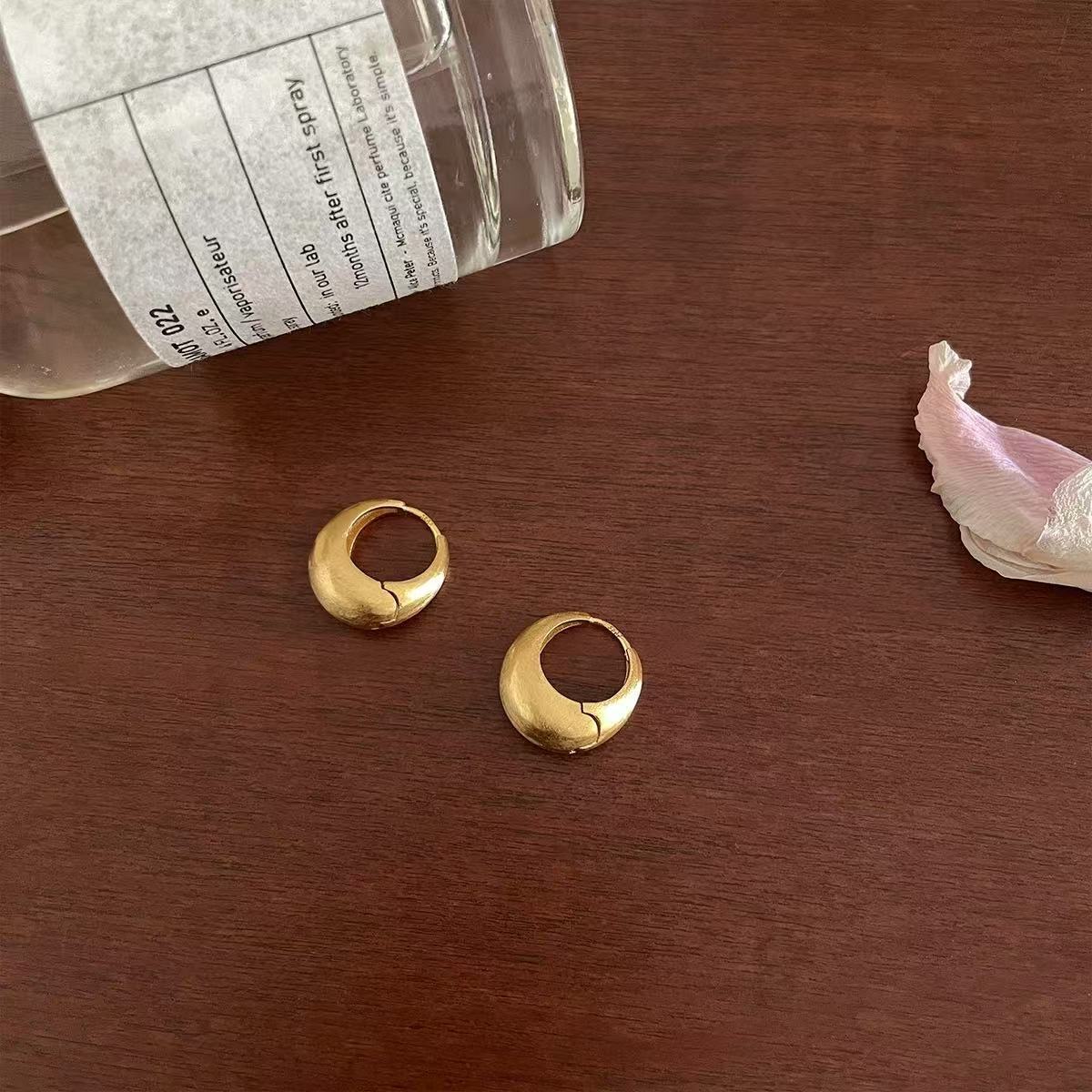 Wholesale Geometric oval high-end cool style earrings