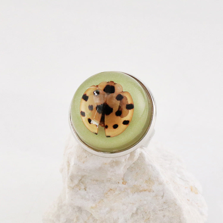 Wholesale 12pcs Luminous Fashion Real Insect Scorpion Resin Rings