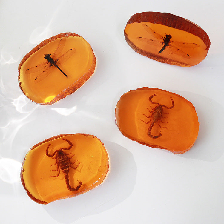 Wholesale 6pcs Resin Amber Wings Dragonfly Rhubarb Scorpion Real Insect Specimen Ornaments