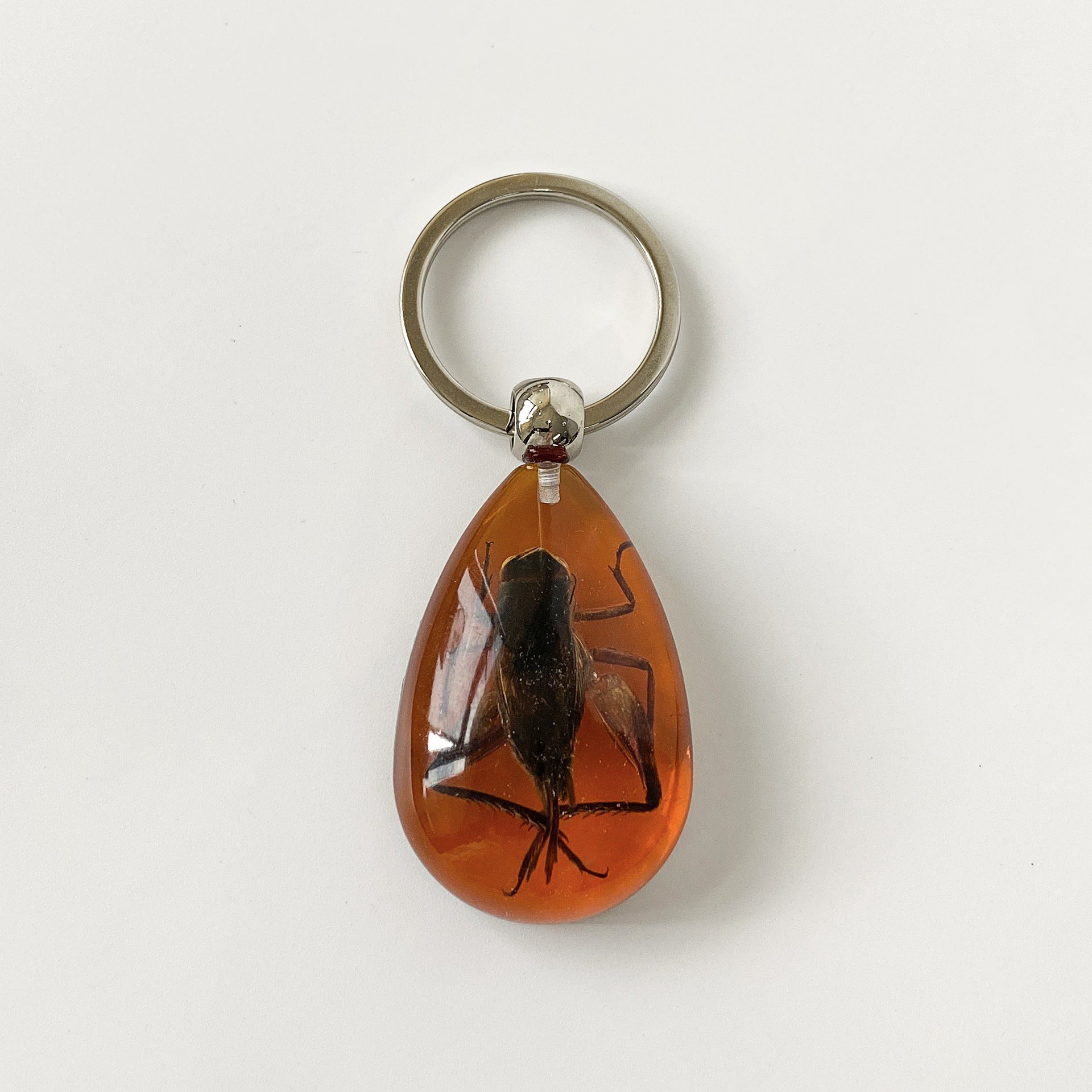 Wholesale 6pcs/pack Insect Specimen Amber Keychain
