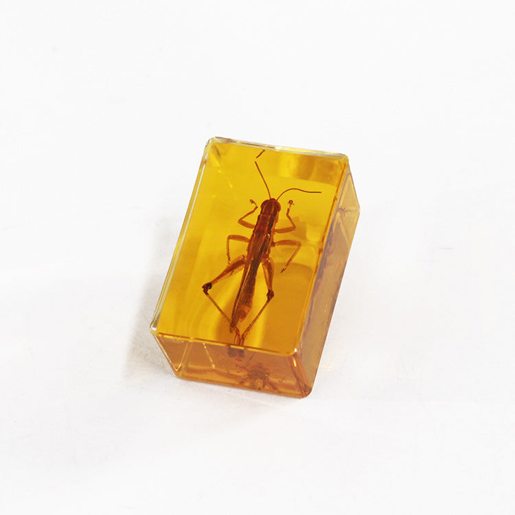 Wholesale 12pcs Real Insect Scorpion Resin HD Transparent Craft Ornaments