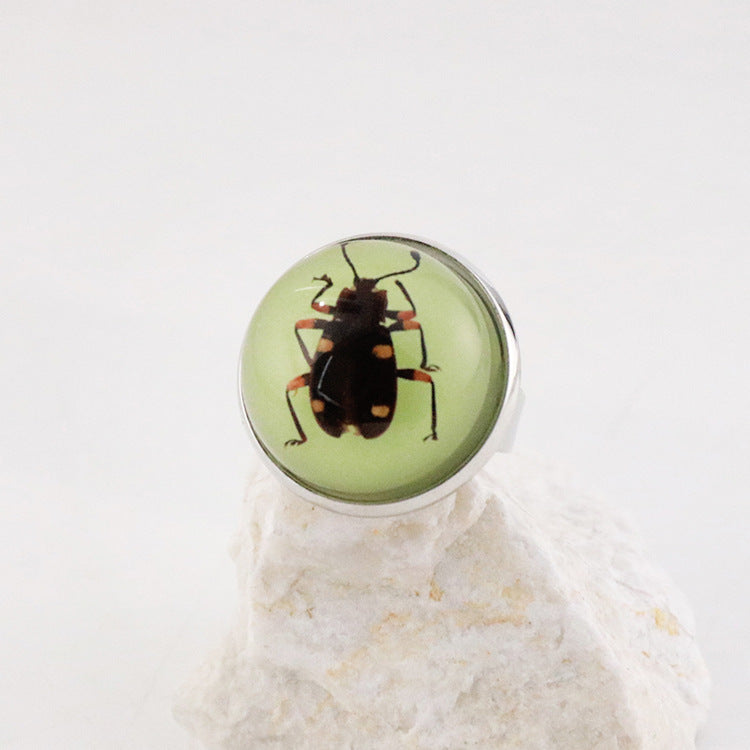 Wholesale 12pcs Luminous Fashion Real Insect Scorpion Resin Rings