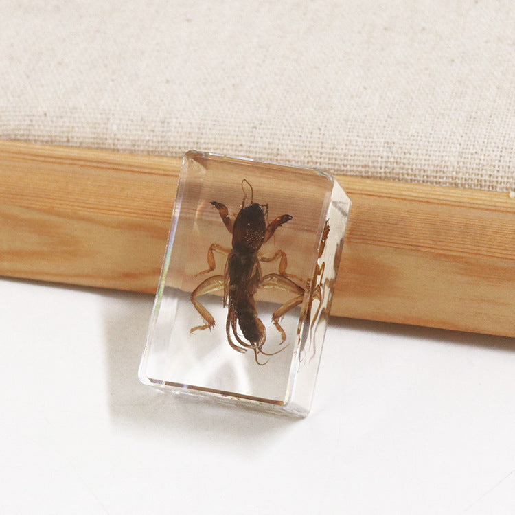 Wholesale 6pcs Handmade Glue Resin Insect Transparent Specimen Ornaments