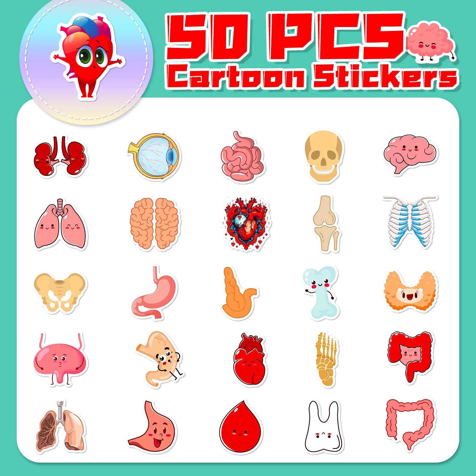 Wholesale 50pcs Cute human organ stickers anatomy cartoon human organ children's early education stickers