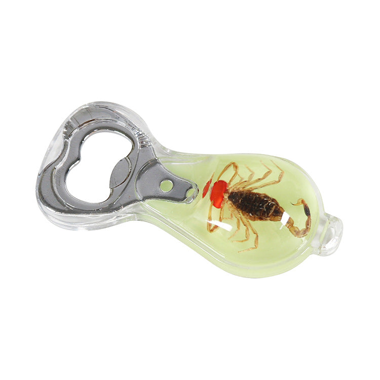 Wholesale 6pcs Real Insect Handmade Glue Bottle Opener Keychain