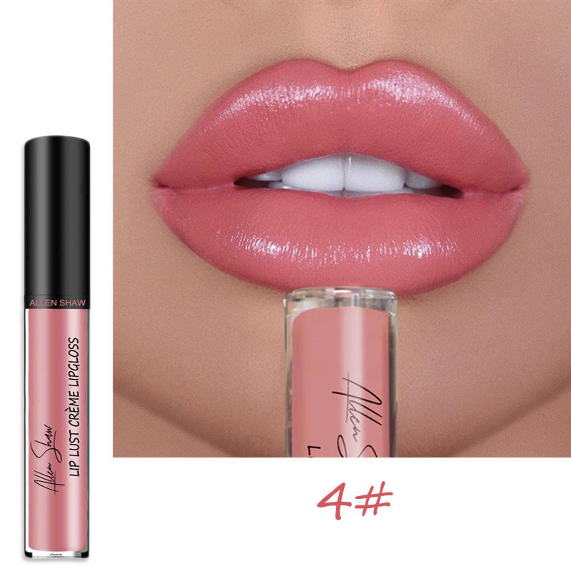 Wholesale Lipstick Lip Gloss Allen Shaw Creme Cream Lip Gloss