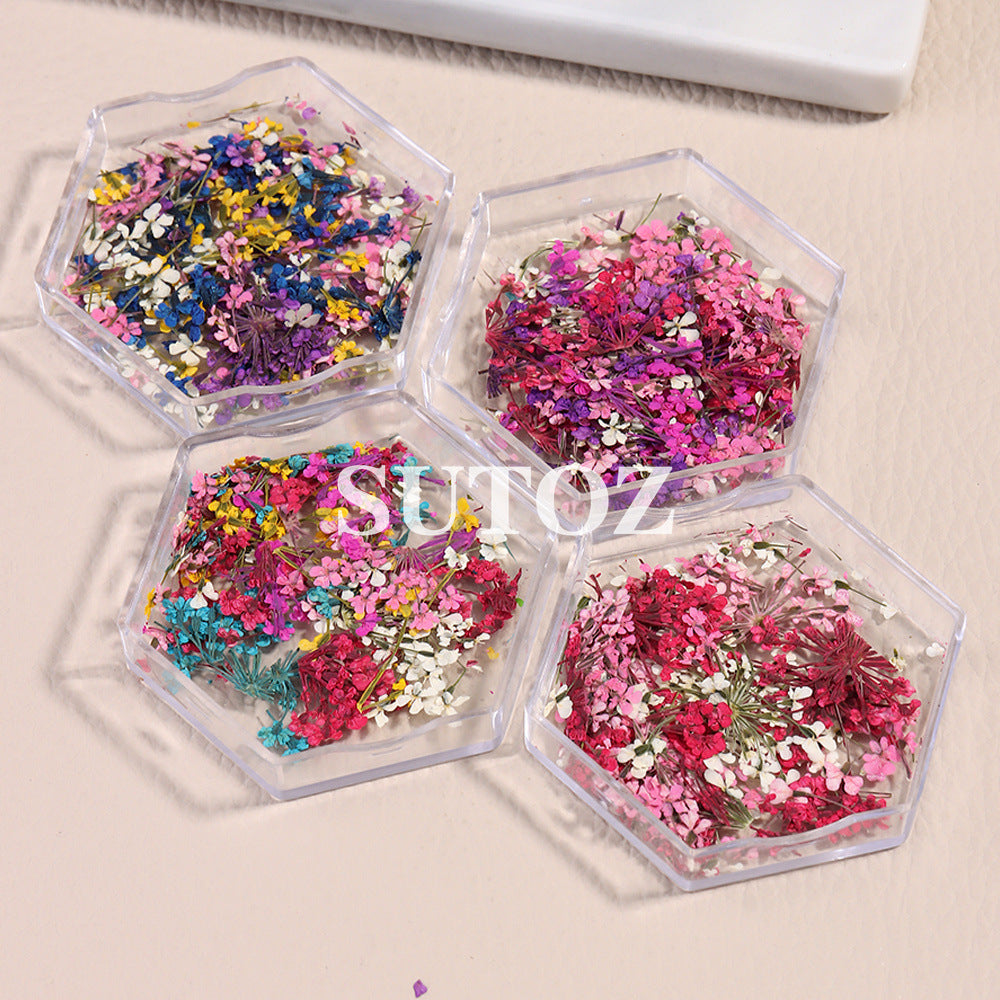 Wholesale 3pcs Nail Art Dried Flower Ornaments