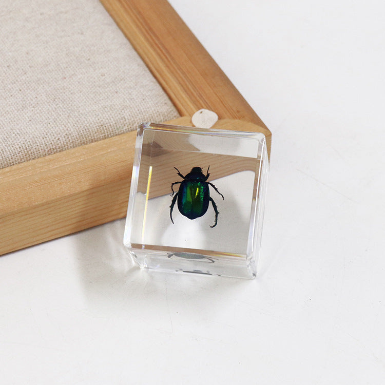 Wholesale 6pcs 4cm Cube Insect Resin HD Transparent Resin Ornaments