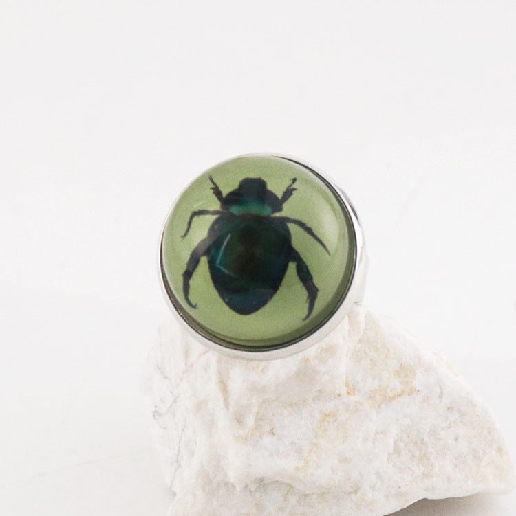 Wholesale 12pcs Luminous Fashion Real Insect Scorpion Resin Rings