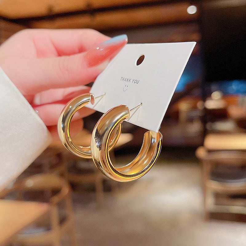 Wholesale Vintage Metal Exaggerated Earrings 925 Silver Pin Alloy Earrings