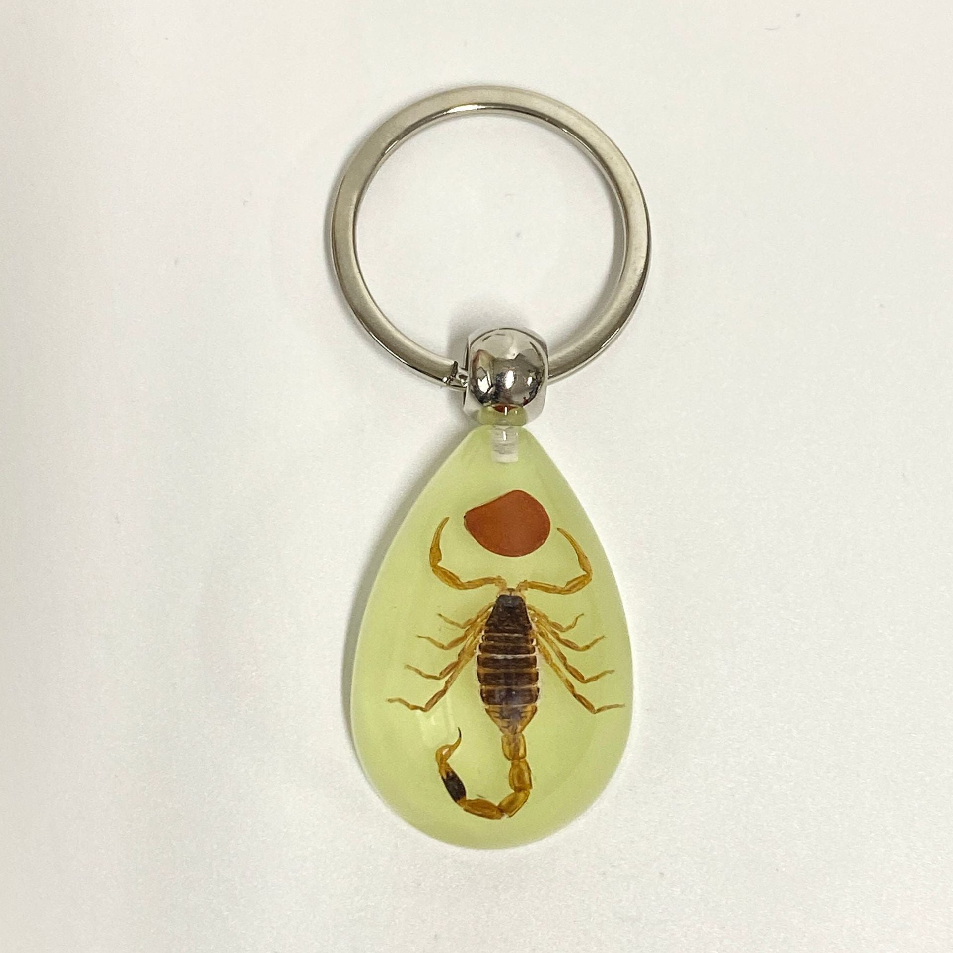 Wholesale 6pcs Luminous Insects Epoxy Resin Keychain