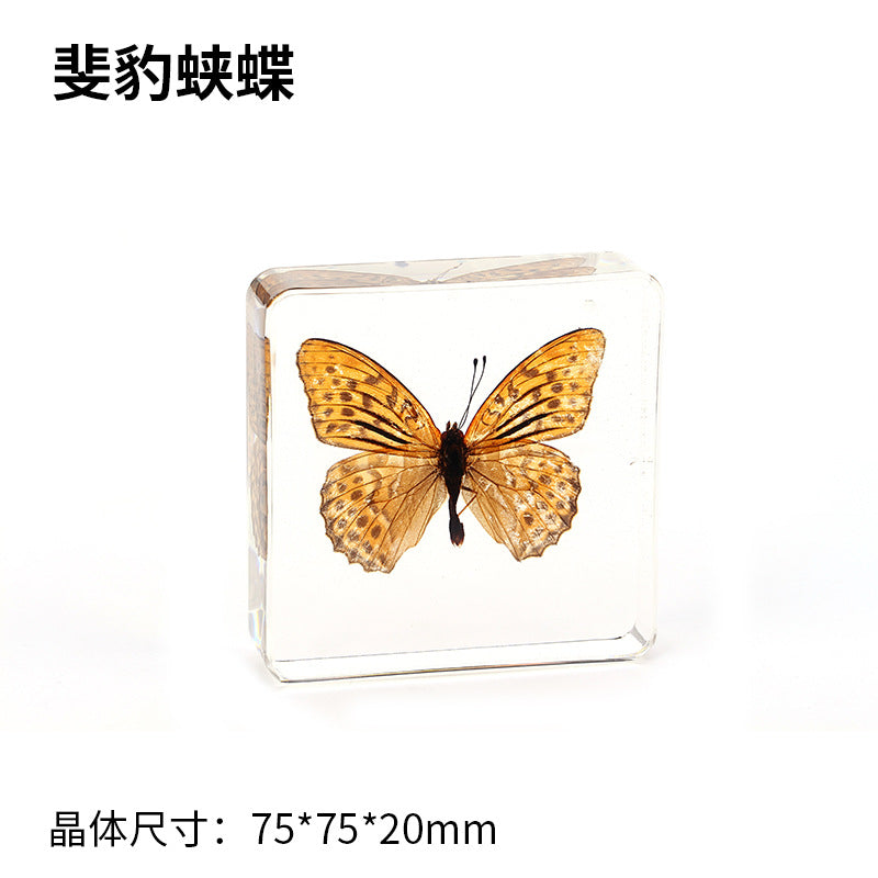 Wholesale Epoxy Butterfly Spreading Wings Resin Specimen