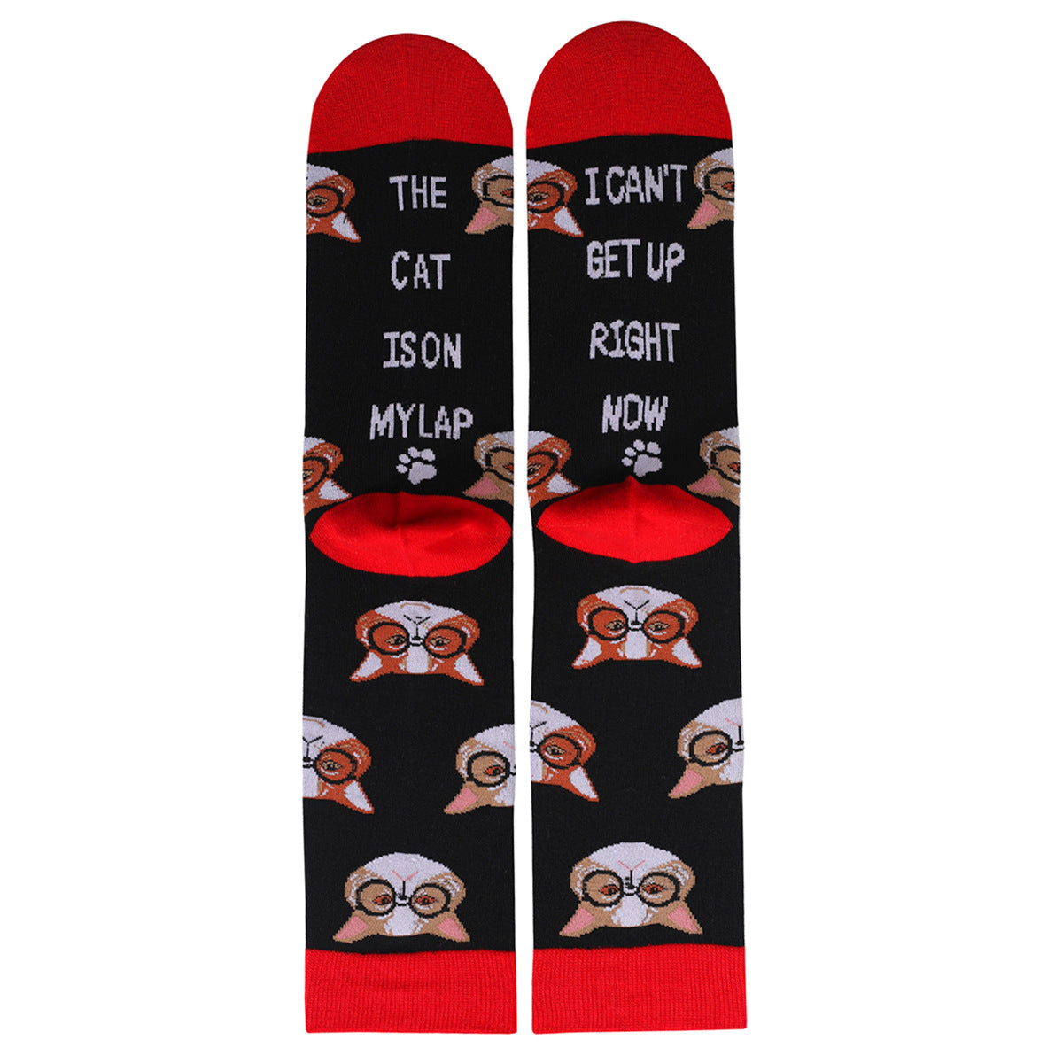 Wholesale Cat and Dog Animal Letter Jacquard Autumn and Winter Large Size Thick Middle Tube Socks